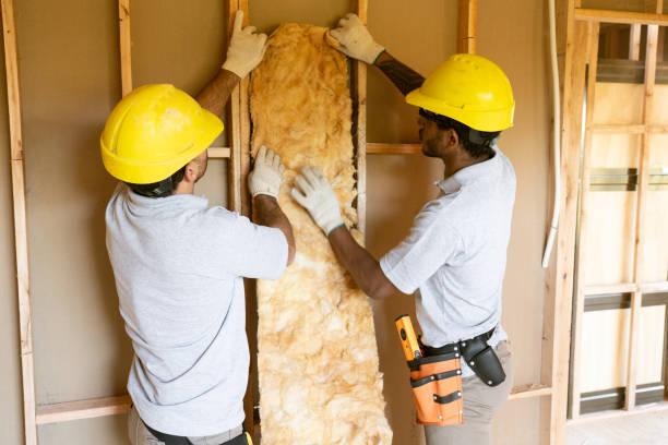 Types of Insulation We Offer in Diaz, AR